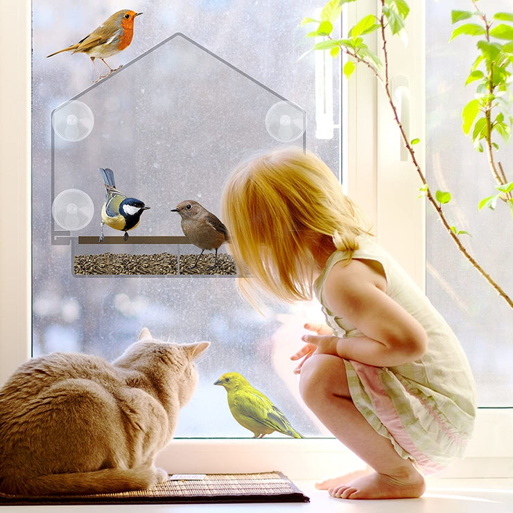 Window Bird Feeder House