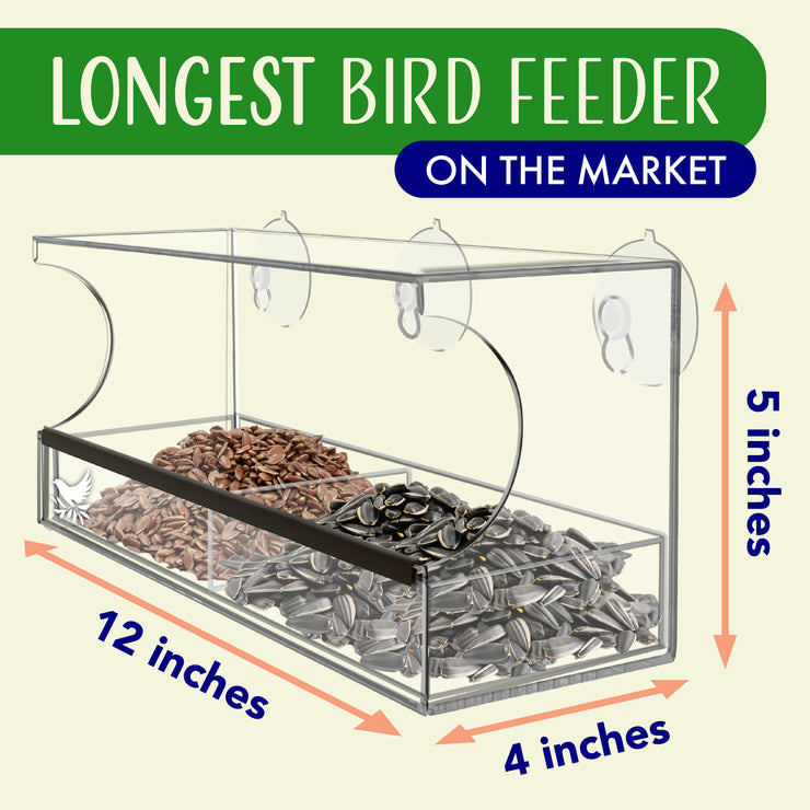 Window Bird Feeder with Strong Suction Cups and Seed Tray