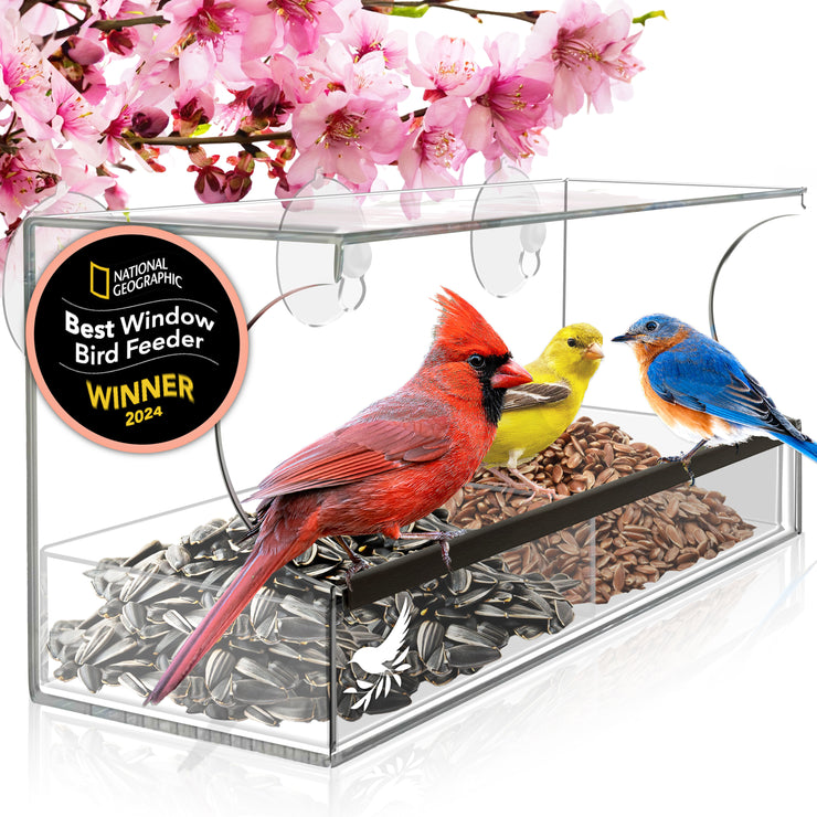 Window Bird Feeder with Strong Suction Cups and Seed Tray