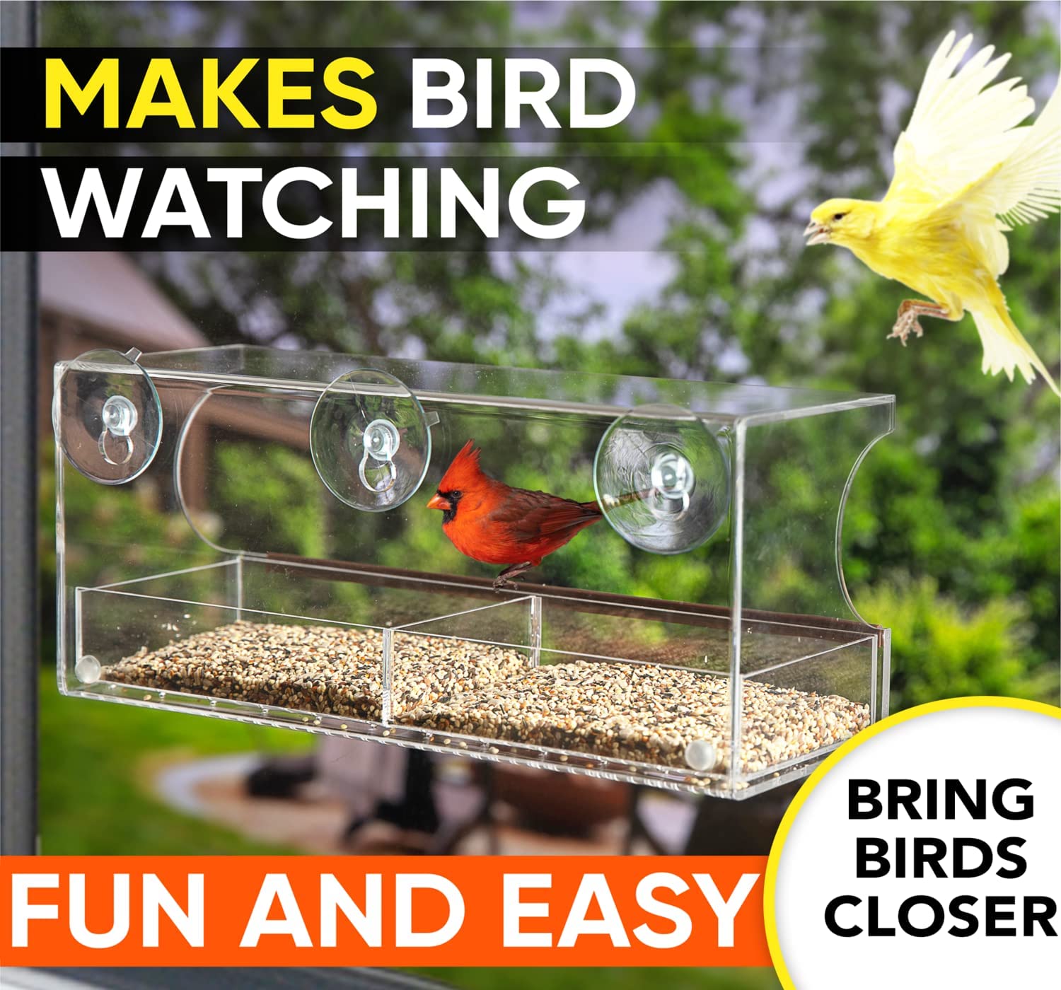 Nature\'s Envoy Panoramic 4 Natures Envoy Window Bird Feeder - Clear View  For Birdwatching - Strong Suction Cups For Outside - Slide Out Seed Tray  Wdrain Ho