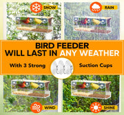 Window Bird Feeder with Strong Suction Cups and Seed Tray